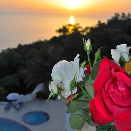Maria With Pool - Agios Gordios Appartement *